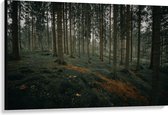 WallClassics - Canvas  - Heuvel Bos - 120x80 cm Foto op Canvas Schilderij (Wanddecoratie op Canvas)