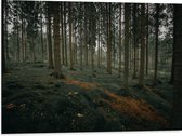 WallClassics - Dibond - Heuvel Bos - 80x60 cm Foto op Aluminium (Met Ophangsysteem)