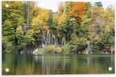 WallClassics - Tuinposter – Kleine Watervallen tussen Bomen door - 60x40 cm Foto op Tuinposter  (wanddecoratie voor buiten en binnen)