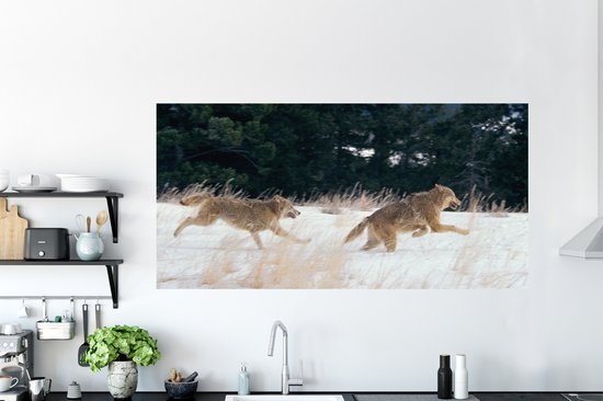 Stickers muraux - Film autocollant - Loup - Arbre - Animaux - 160x80 cm - Film adhésif - Stickers muraux Chambre d'enfant - Papier peint autocollant