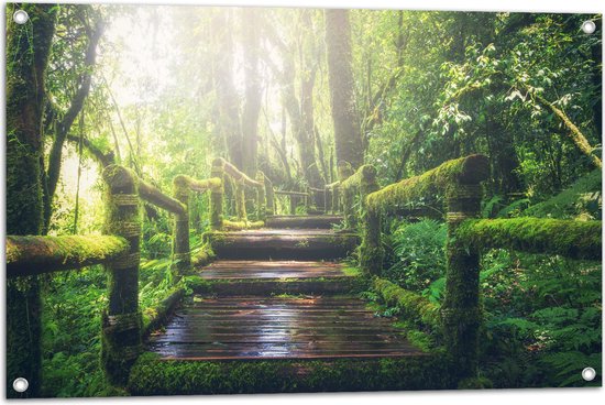 Tuinposter – Begroeide Groene Brug met Lichtstralen - 90x60 cm Foto op Tuinposter (wanddecoratie voor buiten en binnen)