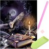 foto van Diamond Painting - Harry Potter Uil - 30x40cm - Volledig Pakket - Ronde Steentjes - Mozaiek Pakket Volwassenen