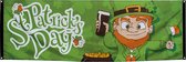 Boland - Polyester banner St Patrick's Day - Geen thema - Feestversiering - Themafeest