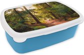 Broodtrommel Blauw - Lunchbox - Brooddoos - Bos - Pad - Bomen - Groen - Zon - Natuur - 18x12x6 cm - Kinderen - Jongen