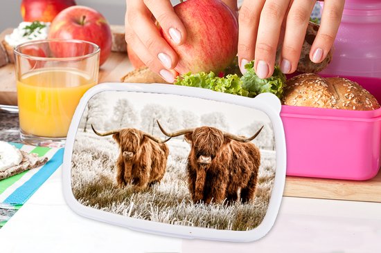 Boîte à lunch Rose - Boîte à lunch - Boîte à pain - Highlander écossais - Vache - Animaux - 18x12x6 cm - Enfants - Fille - Cadeau Sinterklaas - Cadeaux pour enfants - Cadeaux chaussures Sinterklaas