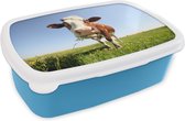 Broodtrommel Blauw - Lunchbox - Brooddoos - Koe - Dieren - Bloemen - Gras - 18x12x6 cm - Kinderen - Jongen