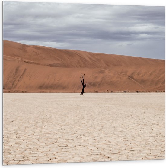 WallClassics - Dibond - Eenzame Boom in de Woestijn - 100x100 cm Foto op Aluminium (Met Ophangsysteem)