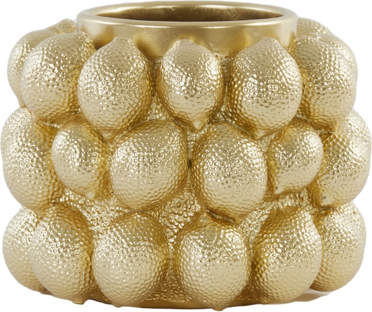 Light & Living Vaas Citroen Polyresin Goud 25 x 18 x 25 cm (BxHxD