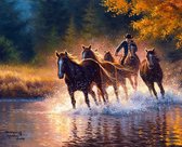 Schilderen op Nummer Paarden Volwassenen & Kinderen - Kleuren op Nummer - Paint by Number - Hobbypainting.nl®