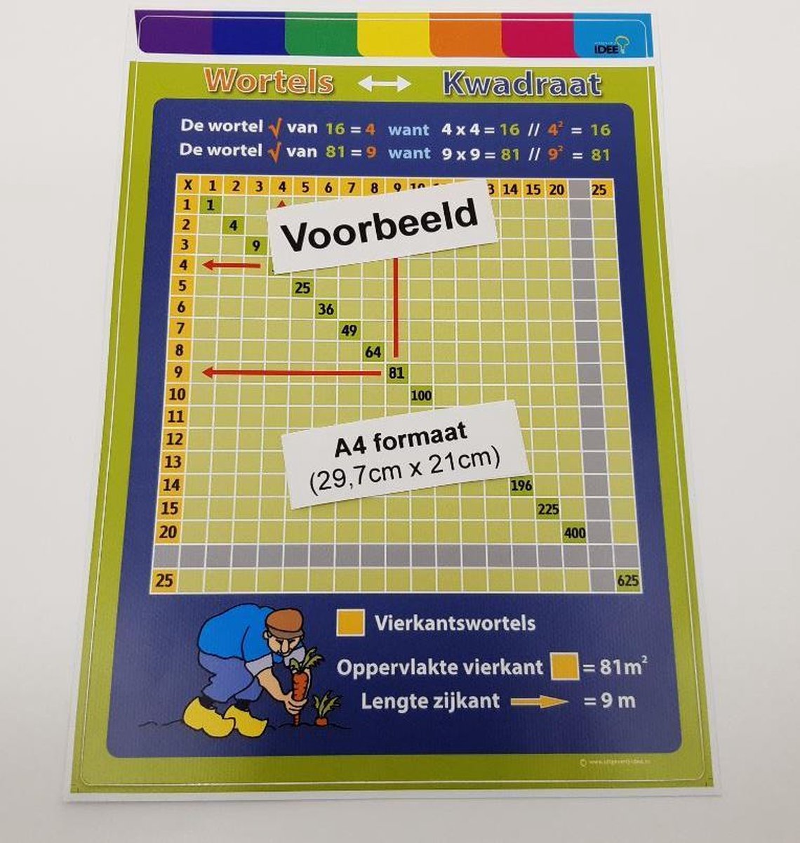 Poster Wortels & Kwadraat herbruikbare muursticker - A4 formaat