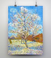 Poster De perzikboom - Vincent van Gogh - 50x70cm