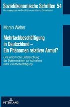 Sozial�konomische Schriften- Mehrfachbeschaeftigung in Deutschland - Ein Phaenomen relativer Armut?