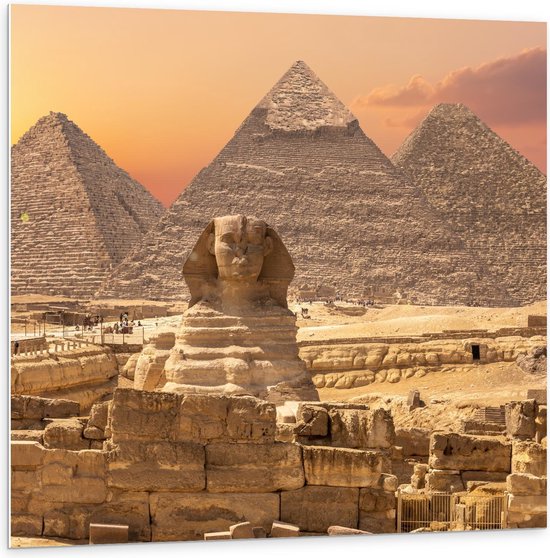 Forex - The Sphinx Beeld voor Piramides in Egypte - 100x100cm Foto op Forex