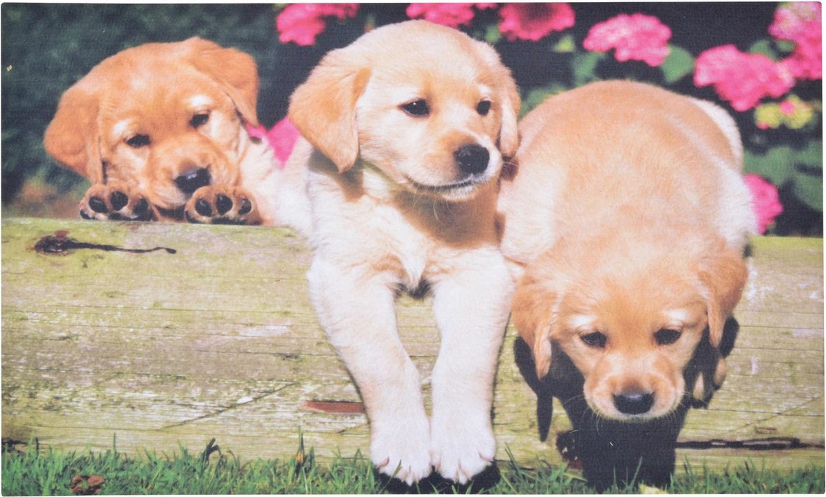 Esschert Design Deurmat puppies Bruin