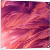 Tuinposter – Roze Vogelveren - 100x100cm Foto op Tuinposter  (wanddecoratie voor buiten en binnen)