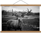Schoolplaat – Aankijkend hert (zwart/wit) - 60x40cm Foto op Textielposter (Wanddecoratie op Schoolplaat)