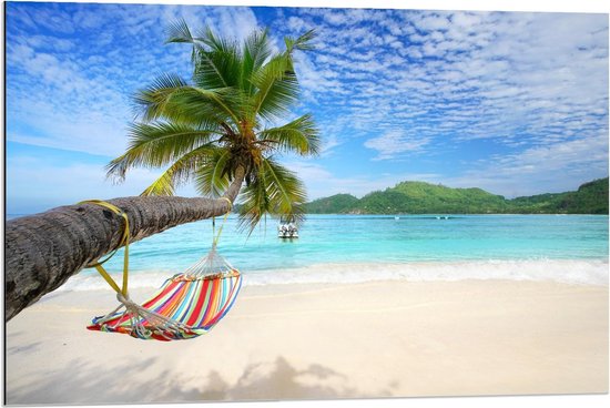 Dibond - Hangmat aan Palmboom op Tropisch Eiland - 90x60cm Foto op Aluminium (Met Ophangsysteem)