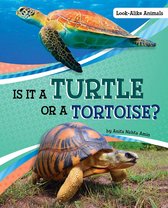 Look-Alike Animals - Is It a Turtle or a Tortoise?