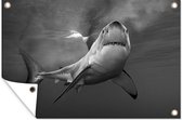 Muurdecoratie Grote witte haai - zwart wit - 180x120 cm - Tuinposter - Tuindoek - Buitenposter
