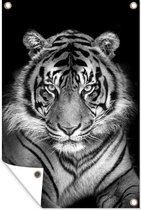 Affiche de jardin Tigre de Sumatra fond noir - noir et blanc - 80x120 cm - Jardin