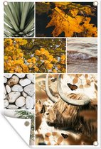 Posters de jardin Scottish Highlander - Collage - Mer - Plantes - 60x90 cm