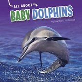 Oh Baby! - All About Baby Dolphins