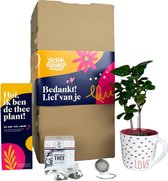 Leukdankje.nl Bedankt Cadeautje Theeplant Thee-ei DIY