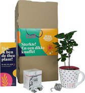 Leukdankje.nl Sterkte Cadeau Theeplant Thee-ei DIY