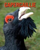 Capercaillie