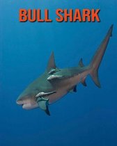 Bull Shark
