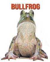 Bullfrog