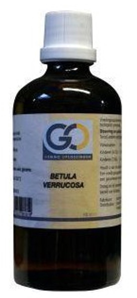 Goedkoopste Go Betula Verrucosa