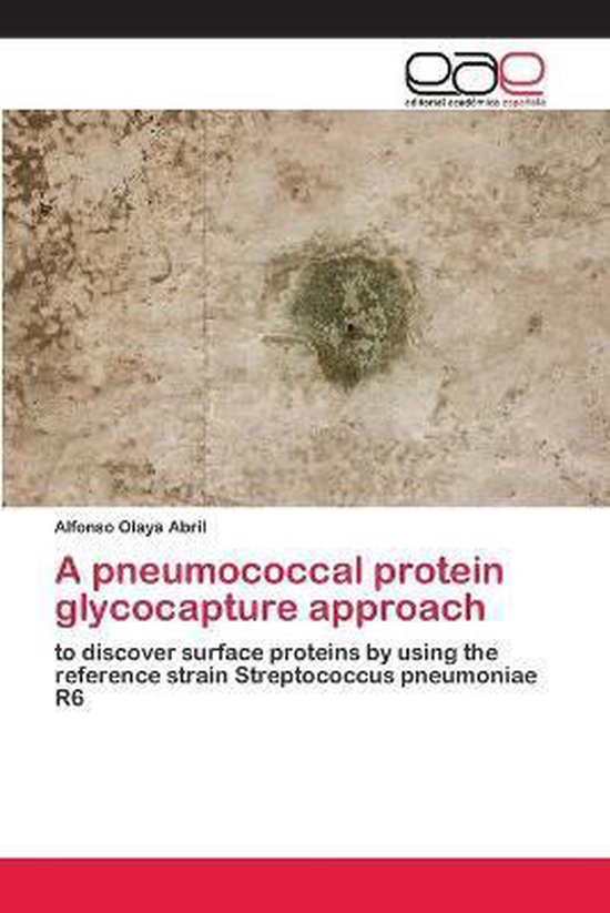 A pneumococcal protein glycocapture approach