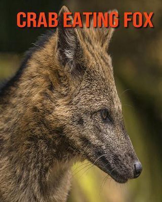 Crab Eating Fox, Devin Haines 9798695334913 Boeken