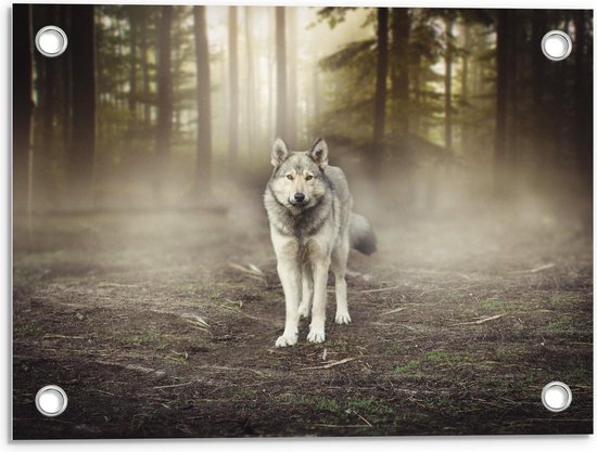 Tuinposter – Wolf in het Bos - 40x30cm Foto op Tuinposter  (wanddecoratie voor buiten en binnen)
