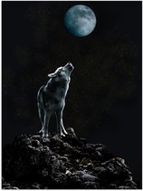 Poster – Huilende Wolf bij Maan op Rots - 30x40cm Foto op Posterpapier