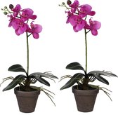 2x stuks phalaenopsis Orchidee kunstplanten paars in pot H48 x D13 cm cm - Kunstplanten/nepplanten met bloemen