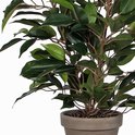 Close-up van de pot van een Ficus Natsja kunstplant, gevuld met kleine grijze steentjes.