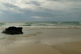 Tuinposter - Zee / Water / Strand - Strand in beige / bruin / wit / zwart - 160 x 240 cm.