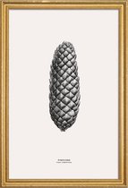 JUNIQE - Poster met houten lijst Pine Cone III -20x30 /Grijs & Ivoor