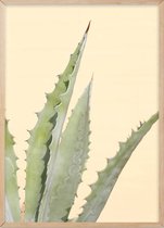 Poster Met Eiken Lijst - Abstracte Cactus Poster