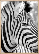 Poster Met Eiken Lijst - Zebra Poster