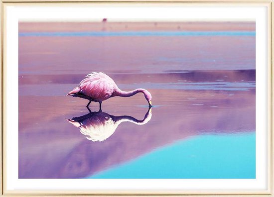 Affiche avec cadre en métal doré - Affiche de l'Altiplano bolivien (50x70cm)