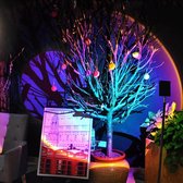Dakta® Sunset Lamp | Zonsondergang | Tafellamp | afstandsbediening | Studio | Projector | Lampen | Golden hour | Verlichting | Led Lamp | Regenboog | Light | Kleur: Rainbow
