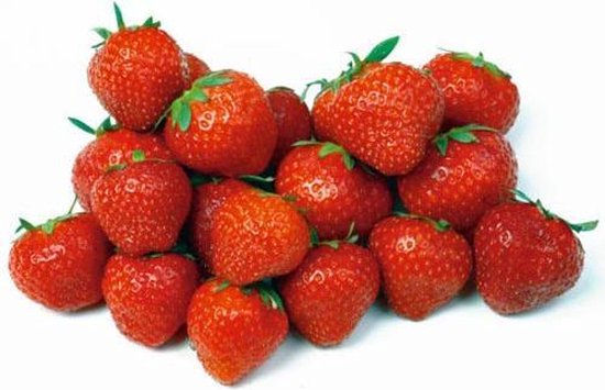 Aardbeien Grandian (vh Sarian) F1