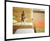 Photo dans le cadre - Chat sautant du canapé cadre photo noir avec passe-partout blanc 80x120 120x80 cm - Affiche sous cadre (Décoration murale salon / chambre)