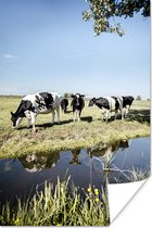 Koeien staan naast de sloot 120x180 cm XXL / Groot formaat! - Foto print op Poster (wanddecoratie woonkamer / slaapkamer)