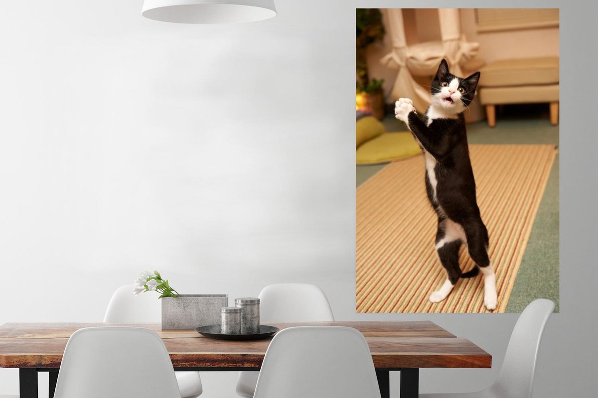 Xonanda Anginaning yalangoch kokraklari