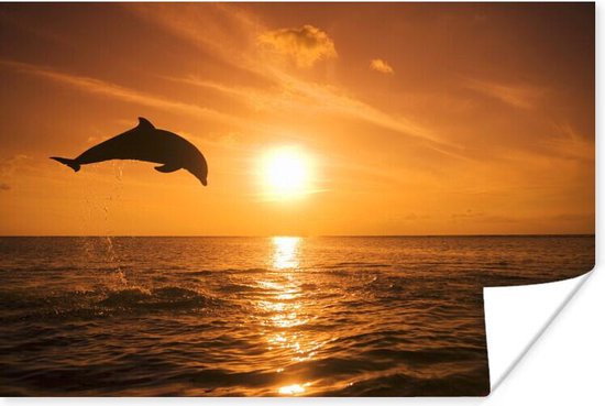 Affiche Dauphin sautant au coucher du soleil - 90x60 cm | bol