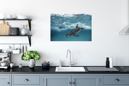 Affiche Dauphin - Water - Mer - 60x40 cm